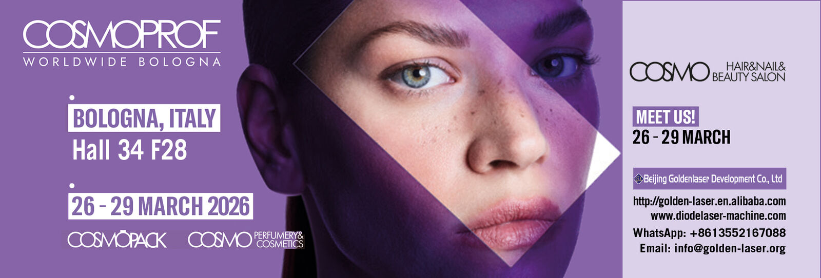 máquina del retiro del pelo del laser del diodo